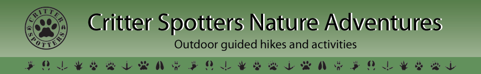 Critter Spotters Outdoor Nature Adventures